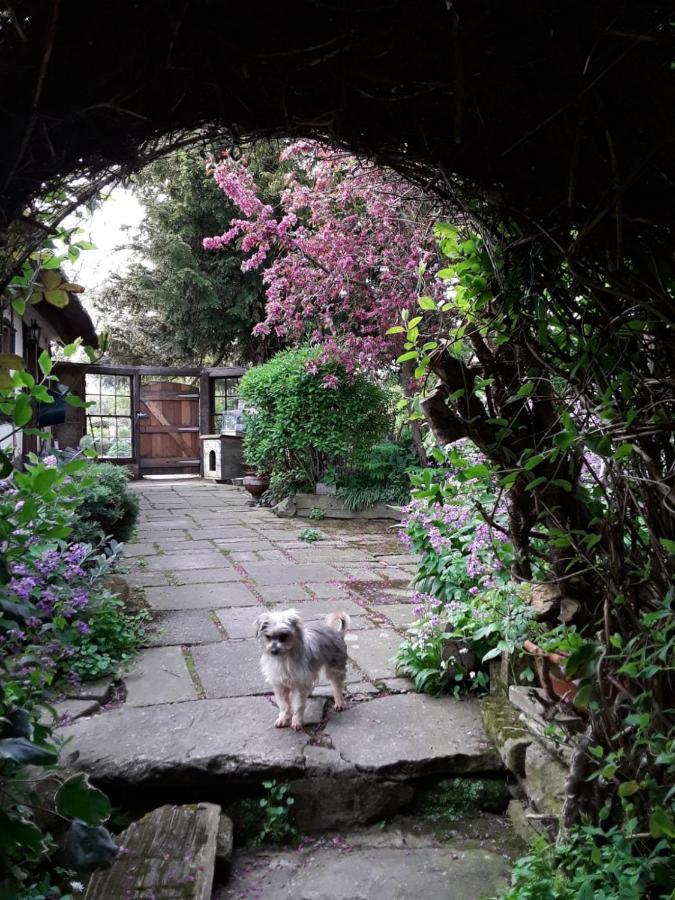 Parrs Cottage Wollaston  ภายนอก รูปภาพ