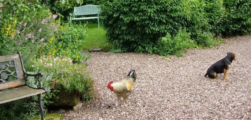Parrs Cottage Wollaston  ภายนอก รูปภาพ